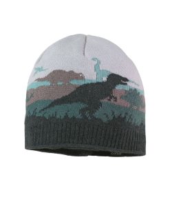 Mütze, Jacquard Dinos (carbonmeliert)