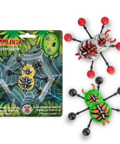 Fensterläufer Spinne „Zoo“