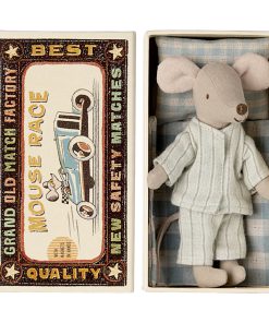 Großer Bruder Maus in der Streichholz Schachtel